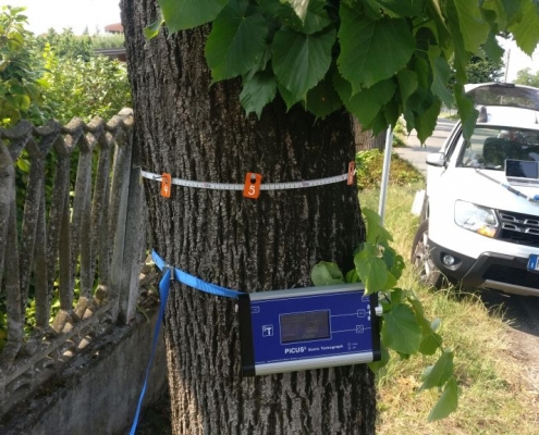 valutazione stato salute e sicurezza alberi
